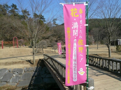 佐野梅林公園 栃木県佐野市 梅の名所 日本隅々の旅 全国観光名所巡り グルメ日記