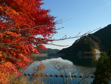 名栗湖 埼玉県飯能市 紅葉 観光名所 日本隅々の旅 全国観光名所巡り グルメ日記