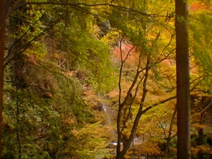 黒山三滝 埼玉県越生町 滝 紅葉 観光名所 日本隅々の旅 全国観光名所巡り グルメ日記