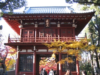 本土寺 千葉県松戸市 寺 紅葉 観光名所 日本隅々の旅 全国観光名所巡り グルメ日記