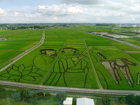 田んぼアート 古代蓮会館 埼玉県行田市 日本隅々の旅 全国観光名所巡り グルメ日記