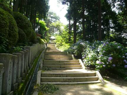 牛伏寺参道.jpg