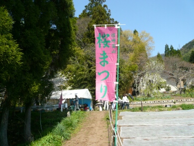 信州高山桜祭り