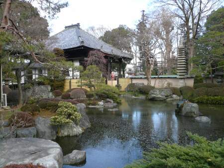 蓮花院庭園1.jpg