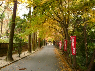 今熊野　紅葉
