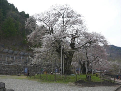 03.jpg