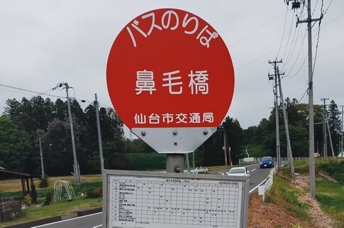 13鼻毛橋.jpg