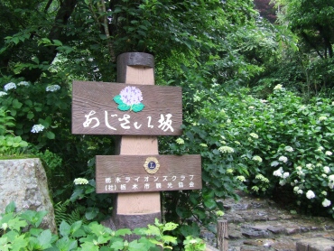 あじさい坂1.jpg