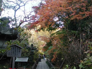 安国論寺鎌倉紅葉2.jpg