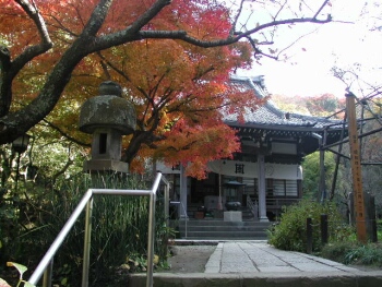 安国論寺鎌倉紅葉1.jpg
