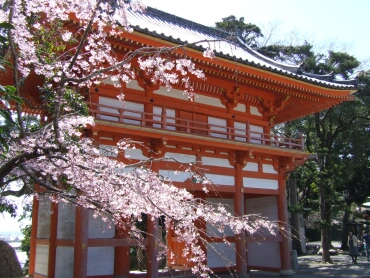 道成寺三重塔山門と桜.jpg
