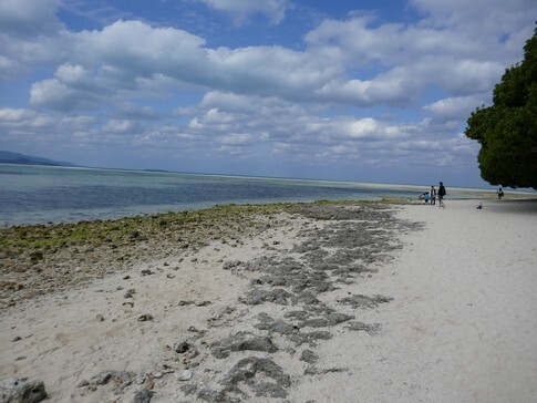 カイジ浜2.jpg