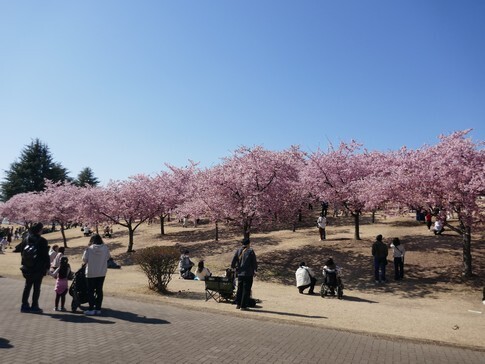 伊勢崎みらい公園.jpg