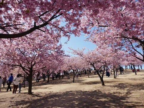 伊勢崎みらい公園3.jpg