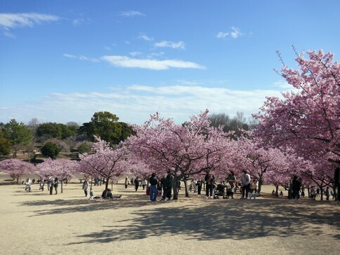 伊勢崎みらい公園5.jpg