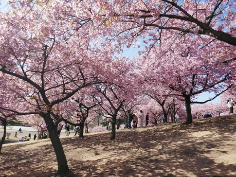 伊勢崎みらい公園7.jpg
