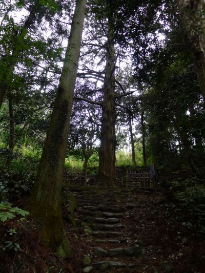 傑山寺 片倉小十郎墓標.jpg