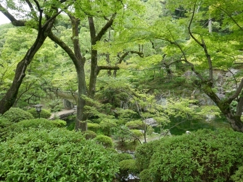 和歌山城5西の丸庭園3.jpg