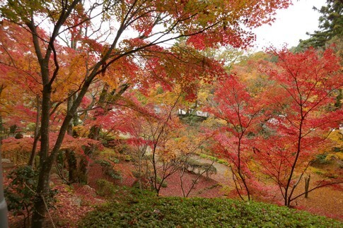 大窪寺5.jpg