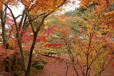 大窪寺7.jpg
