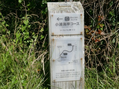 小浦海岸 千葉県御宿町 日本隅々の旅 全国観光名所巡り グルメ日記