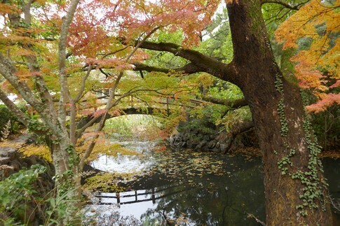 屋島寺8.jpg