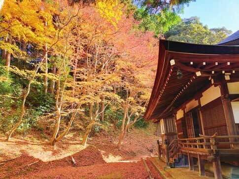 弘川寺3.jpg