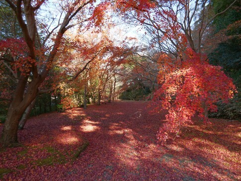 弘川寺5.jpg
