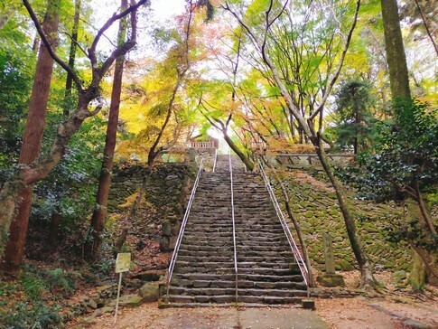 根香寺 紅葉2.jpg