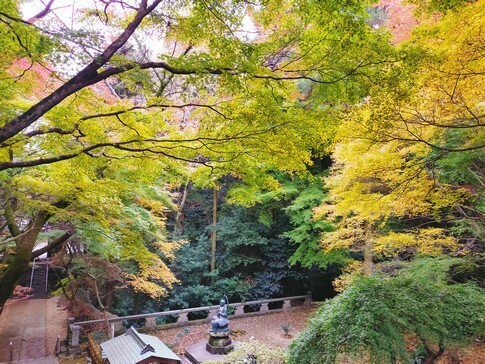 根香寺 紅葉3.jpg