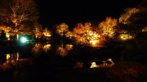 桜山公園の夜景7.jpg