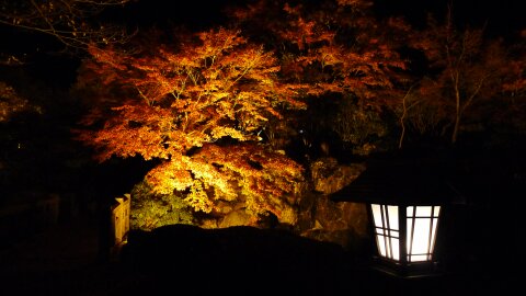 桜山公園の夜景8.jpg
