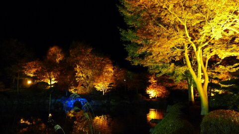 桜山公園の夜景9.jpg