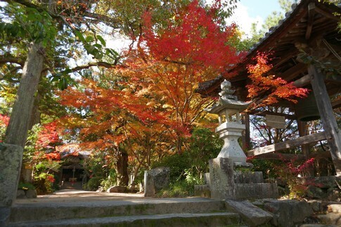 ڗ3.jpg