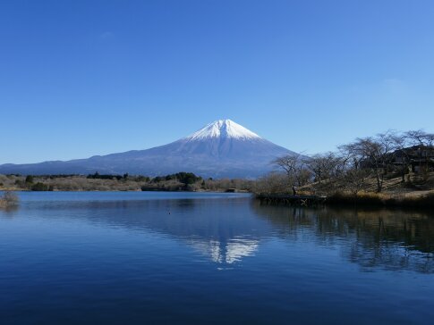田貫湖　富士山.jpg