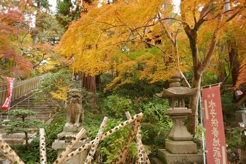 白峯寺 紅葉2.jpg