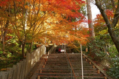 白峯寺 紅葉5.jpg