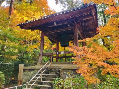 白峯寺 紅葉9.jpg