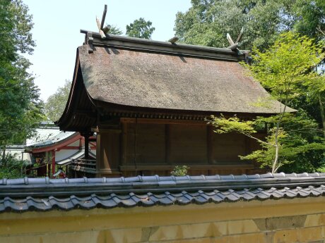 神谷神社 国宝本殿.jpg