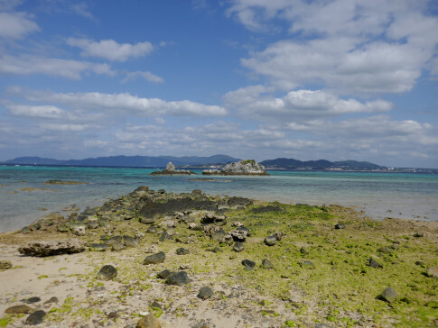 美崎3.jpg