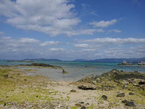 美崎4.jpg