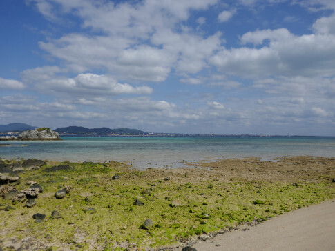 美崎5.jpg