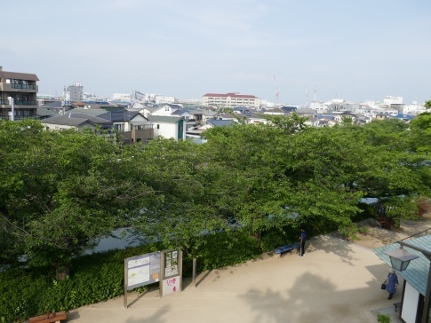 草加 望楼3.jpg