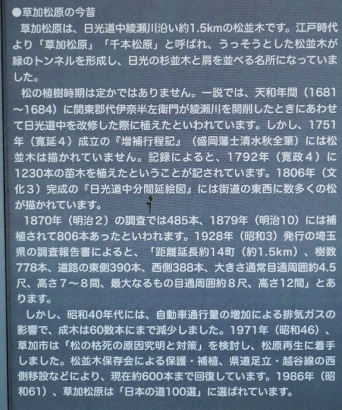 草加松原2.jpg