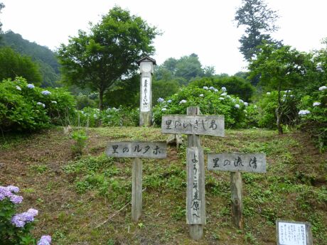 越生あじさい公園.jpg